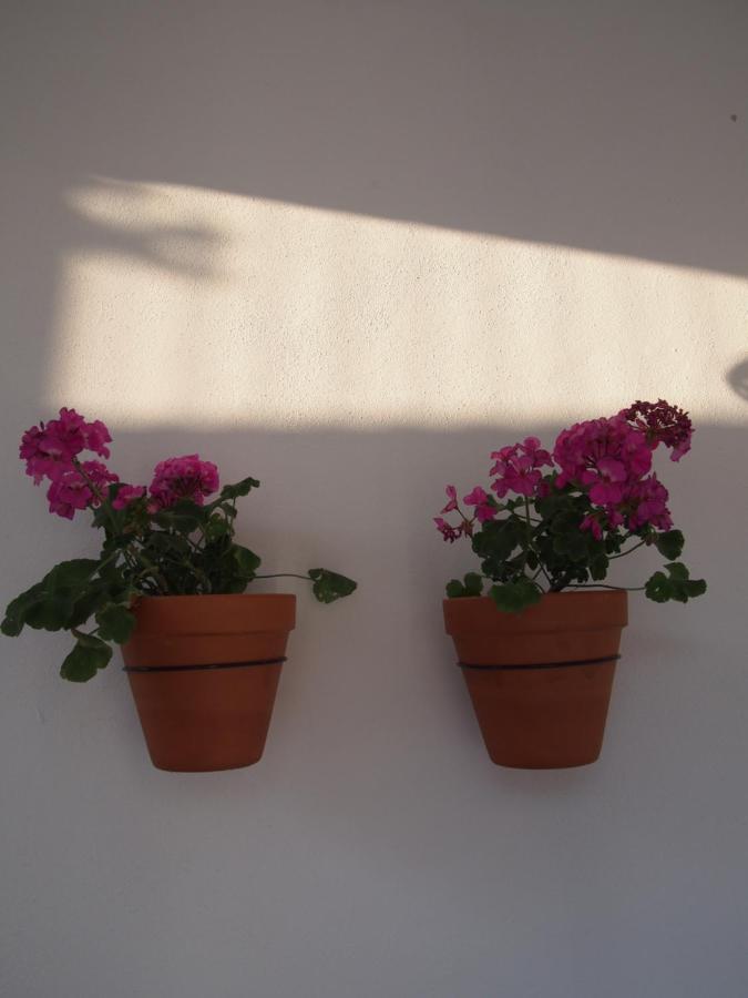 Apartment 9 Malaga, Three Unique With Private Plunge Pool Malaga